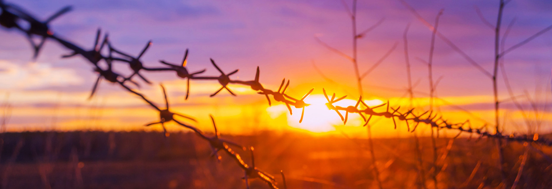 Barbed Wire Fencing